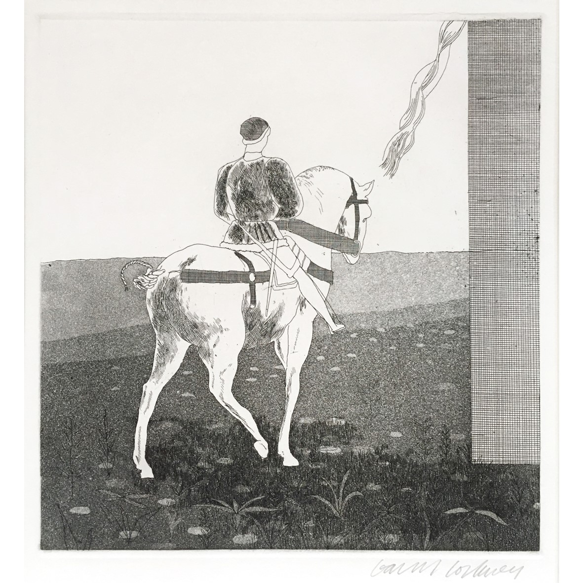 Rapunzel, Rapunzel, Let Down Your Hair