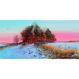 Frosty Dawn, Handley Lane