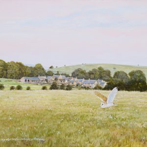 Barn Owl Over Little Longstone