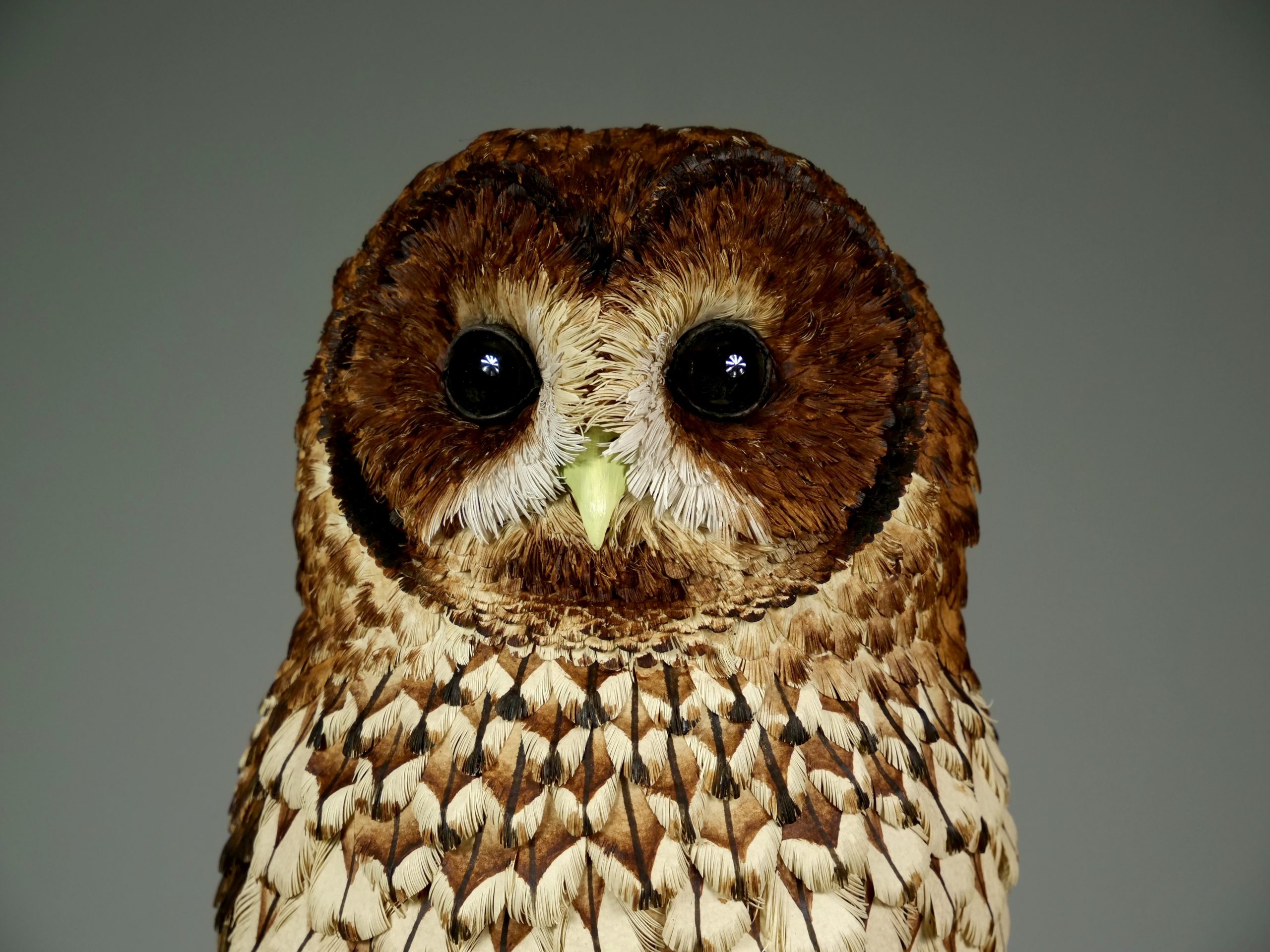 Nocturne Tawny Owl - Image 3