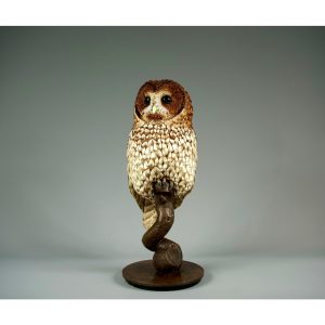 Nocturne Tawny Owl