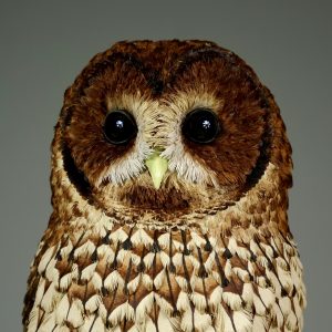 Jamie Lord - Guest Artist