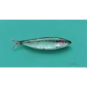 Sardine No. 14
