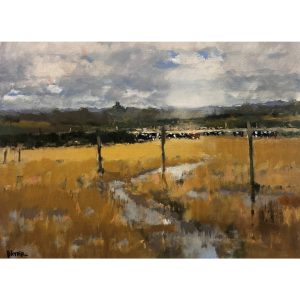 Cornfield and Cows, North Norfolk