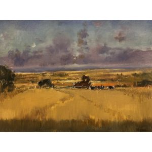 Light on the Marsh, North Norfolk
