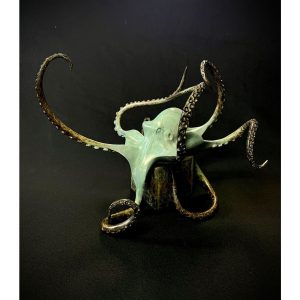 Octopus on Cube
