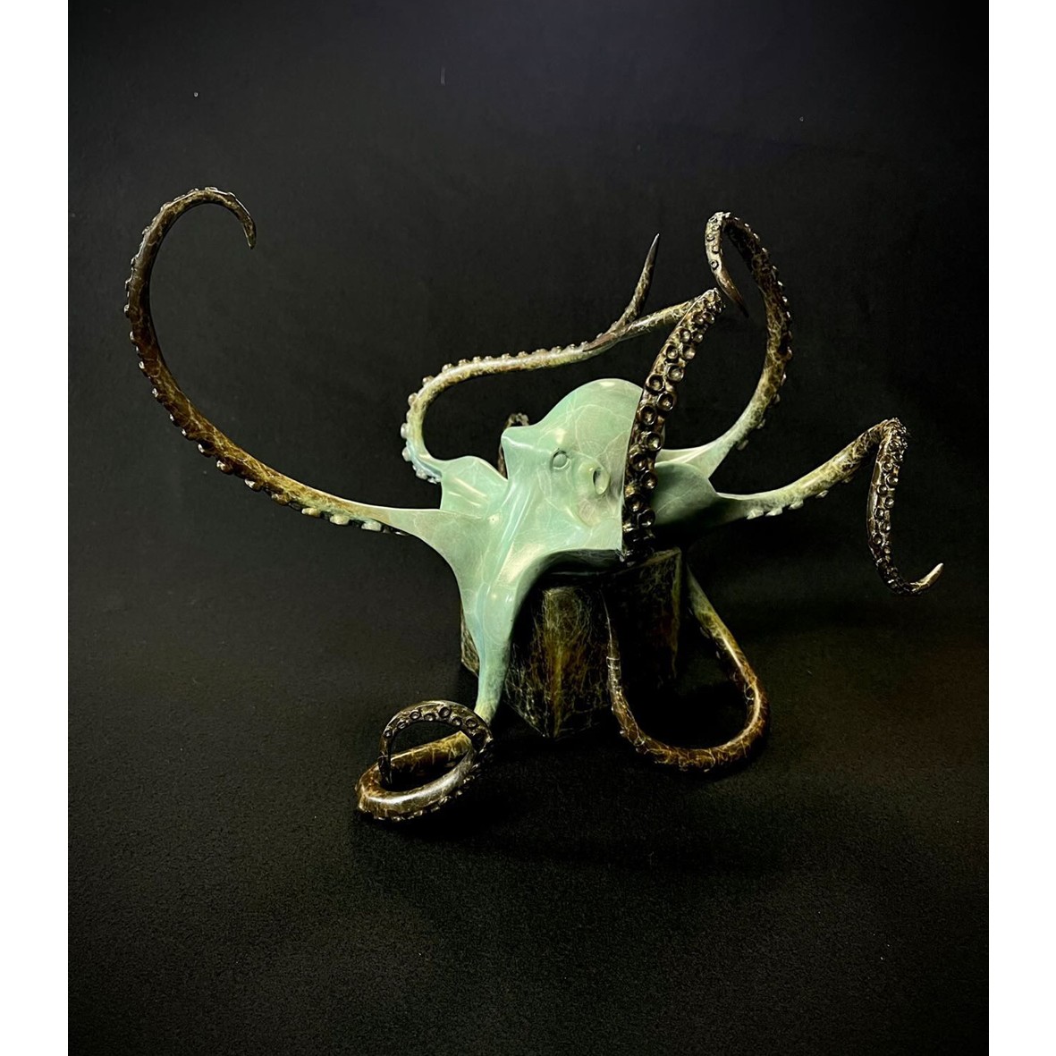 Octopus on Cube