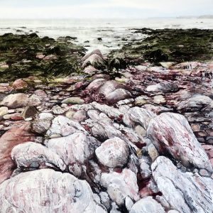 Littoral I