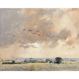 Brent Geese and Cows