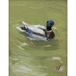 Lone Mallard