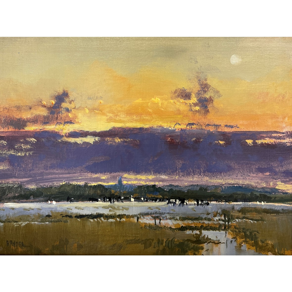 Grazing Cows, Salthouse Marsh
