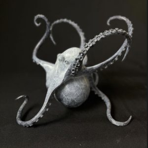Octopus on Sphere