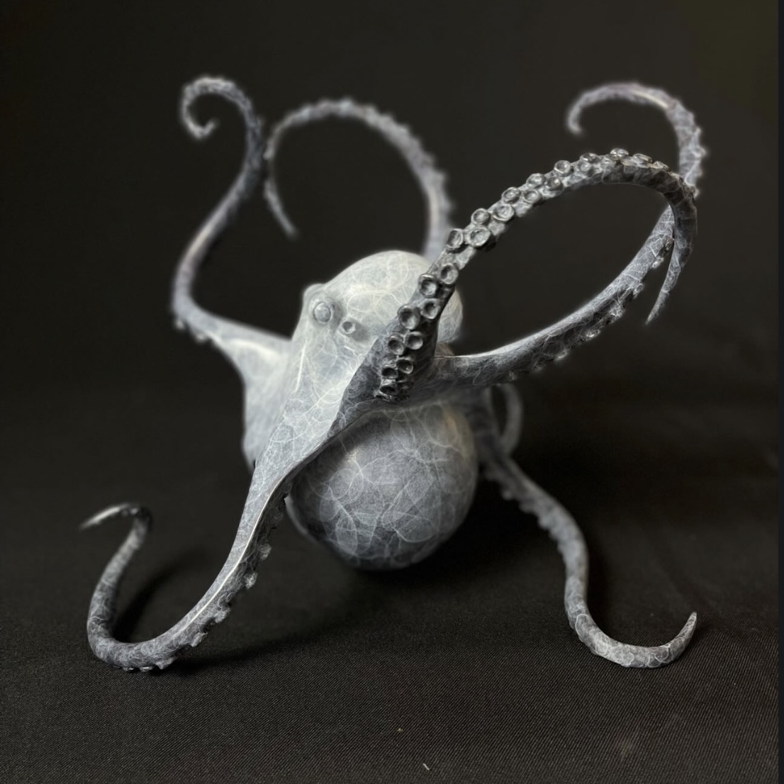 Octopus on Sphere